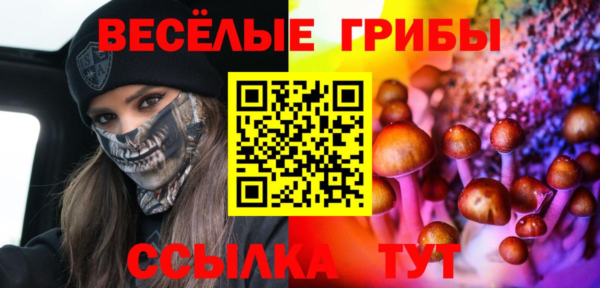 Тимашёвск  дарнет шоп  Вход с VPN  Псилоцибиновые грибы GOLDEN TEACHER 